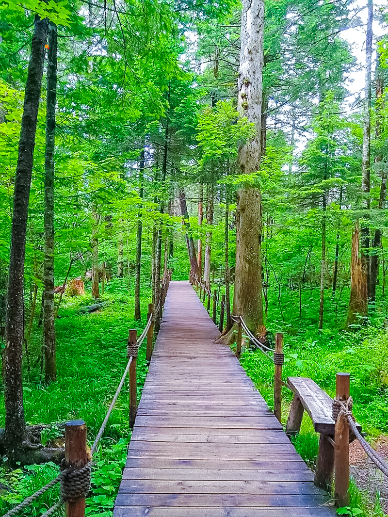 反向旅游夏天的长白山真的超“冷”门_5_1001户外旅行-轻奢度假_来自小红书网页版.jpg