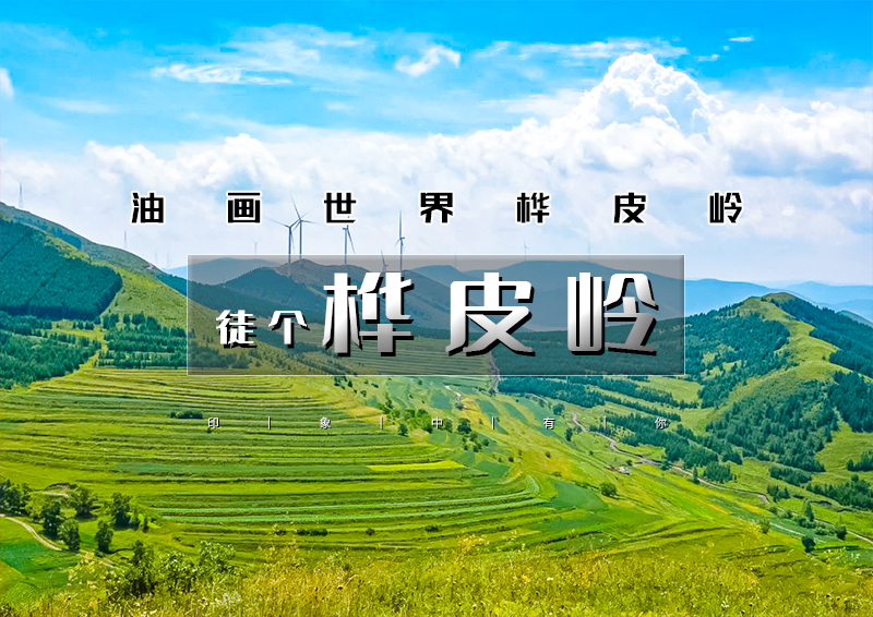 ▌▌印象头图.jpg