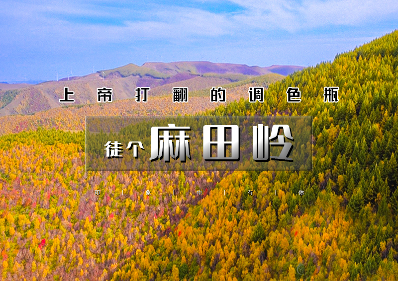 ▌▌印象头图.jpg