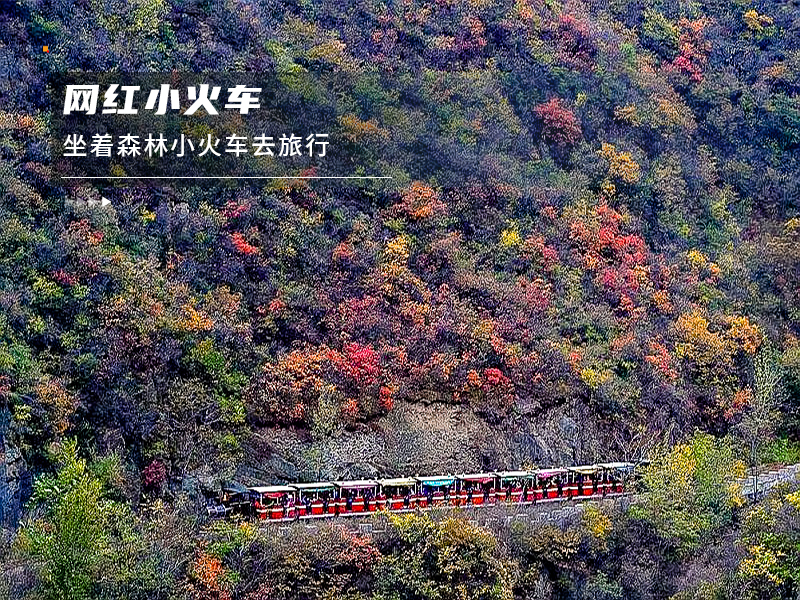 ★印象细图F1.jpg