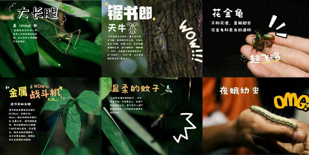 aff77c79551c9be65c52ae4e20b0156.png