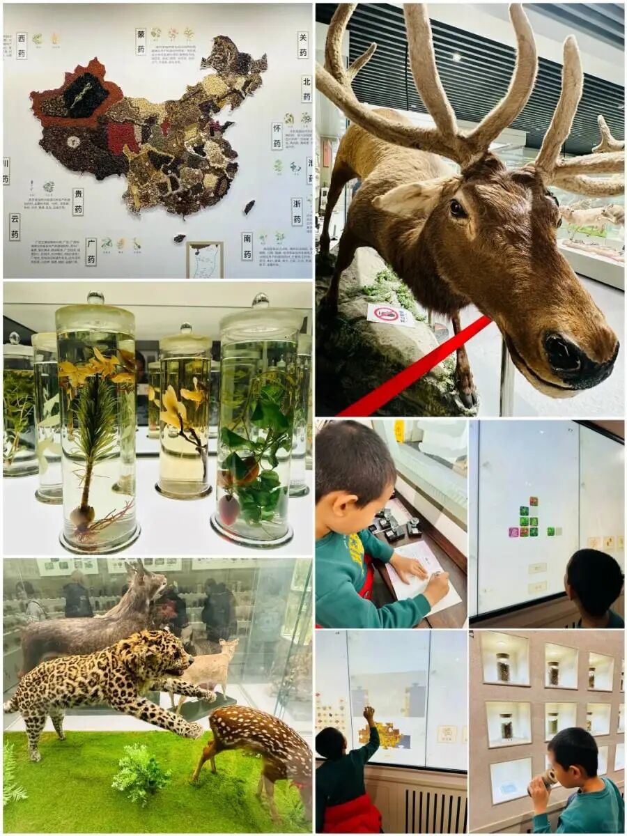 1769391691547205.png b8c99fce634f5826c96b4ca9481028a6_webwxgetmsgimg_&MsgID=2139923002257606084&skey=%40crypt_f079b5f6_a8fcf9f43f1c796cb6d86d388a20f291.png