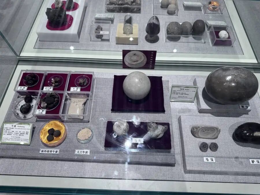 1769392237589219.jpg 1384490579_副本.jpg