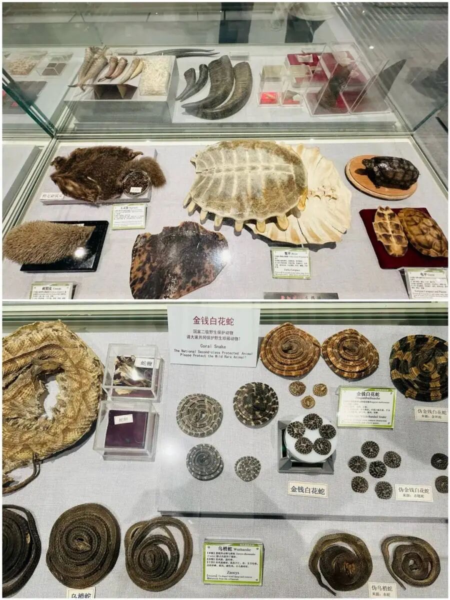 1769392277139789.png e3ad4aebb8428a6d2fb8702163b8bcb8_webwxgetmsgimg_&MsgID=611608800813044469&skey=%40crypt_f079b5f6_a8fcf9f43f1c796cb6d86d388a20f291.png