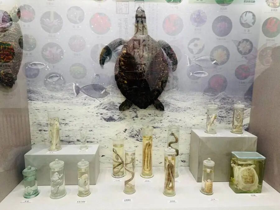 1769392291653795.png 52142a32623f12843304b8699ab53cd1_webwxgetmsgimg_&MsgID=2196993696438917872&skey=%40crypt_f079b5f6_a8fcf9f43f1c796cb6d86d388a20f291.png