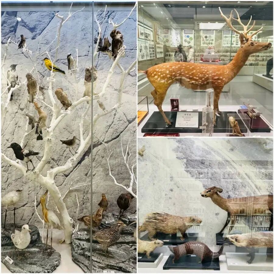 1769392304981897.png 22a7a1d088a01c23501b2802d53a342b_webwxgetmsgimg_&MsgID=3900840236622172282&skey=%40crypt_f079b5f6_a8fcf9f43f1c796cb6d86d388a20f291.png