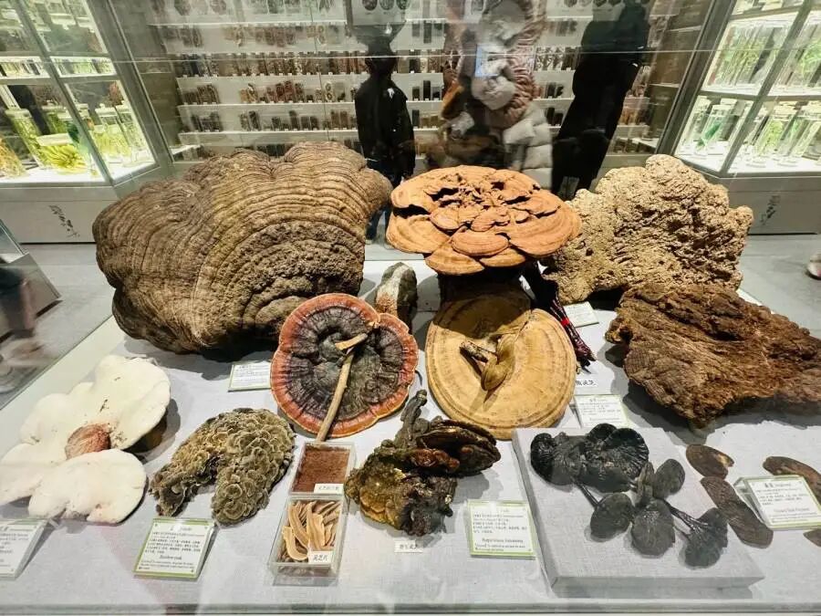 1769392354220315.png 603762c016afc47c881bdc81de999e6b_webwxgetmsgimg_&MsgID=4866894642754908253&skey=%40crypt_f079b5f6_a8fcf9f43f1c796cb6d86d388a20f291.png