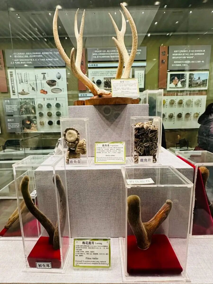 1769392379364460.png 98a8346cb3b5d0698e5a368d45df0ff2_webwxgetmsgimg_&MsgID=4141965115274361186&skey=%40crypt_f079b5f6_a8fcf9f43f1c796cb6d86d388a20f291.png