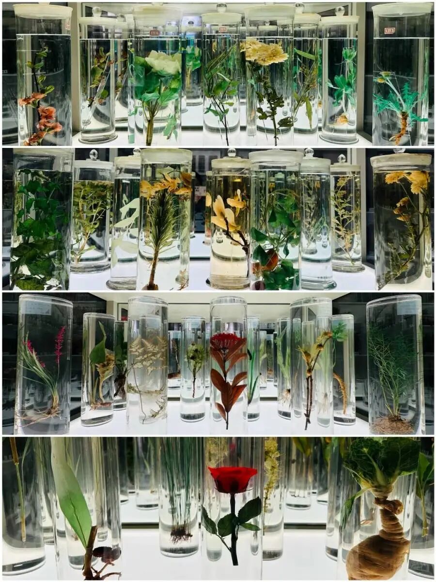 1769392405531788.png 21a244dc73637b59ad717163806a02da_webwxgetmsgimg_&MsgID=1468822656890493764&skey=%40crypt_f079b5f6_a8fcf9f43f1c796cb6d86d388a20f291.png