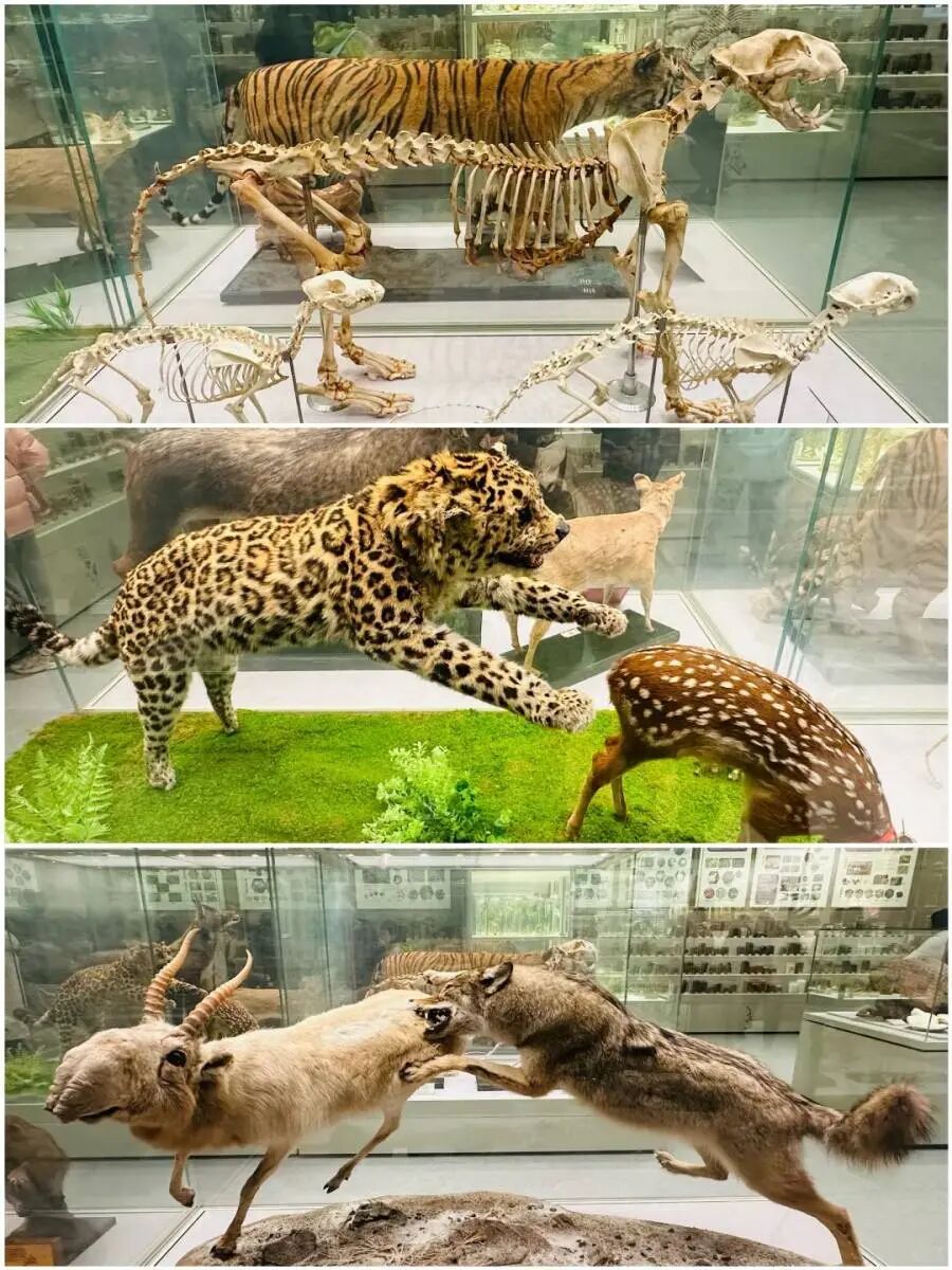 1769392419702897.png cfd6a4c2de0d37e07ebaabe0fbca3a7e_webwxgetmsgimg_&MsgID=1840453065930611568&skey=%40crypt_f079b5f6_a8fcf9f43f1c796cb6d86d388a20f291.png