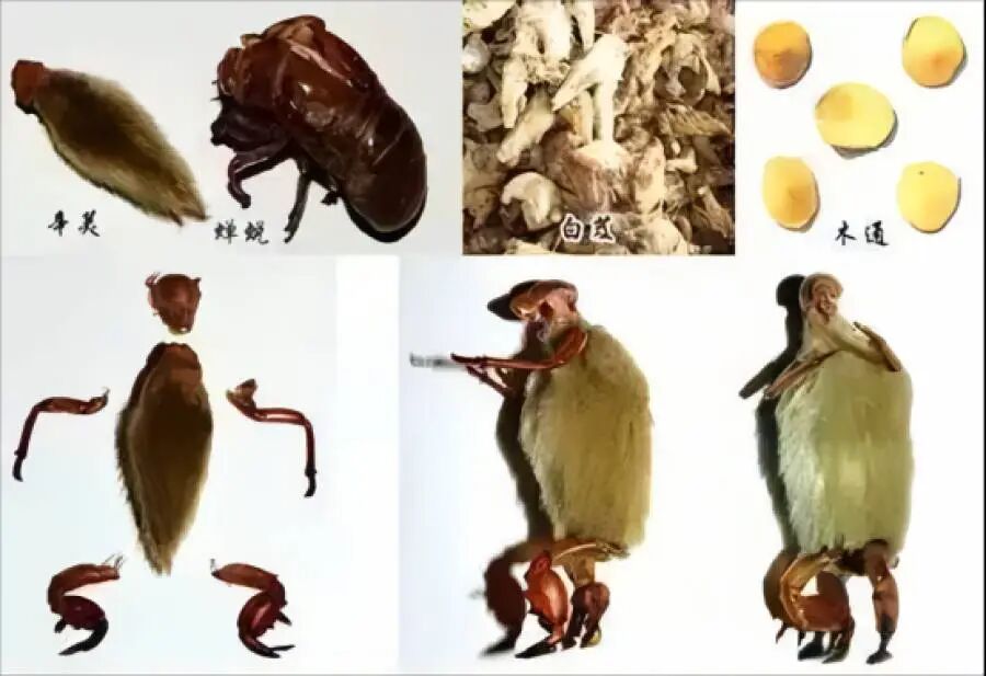 1769393187157702.png image.png