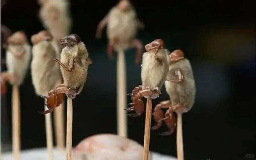 1769393217984150.png image.png