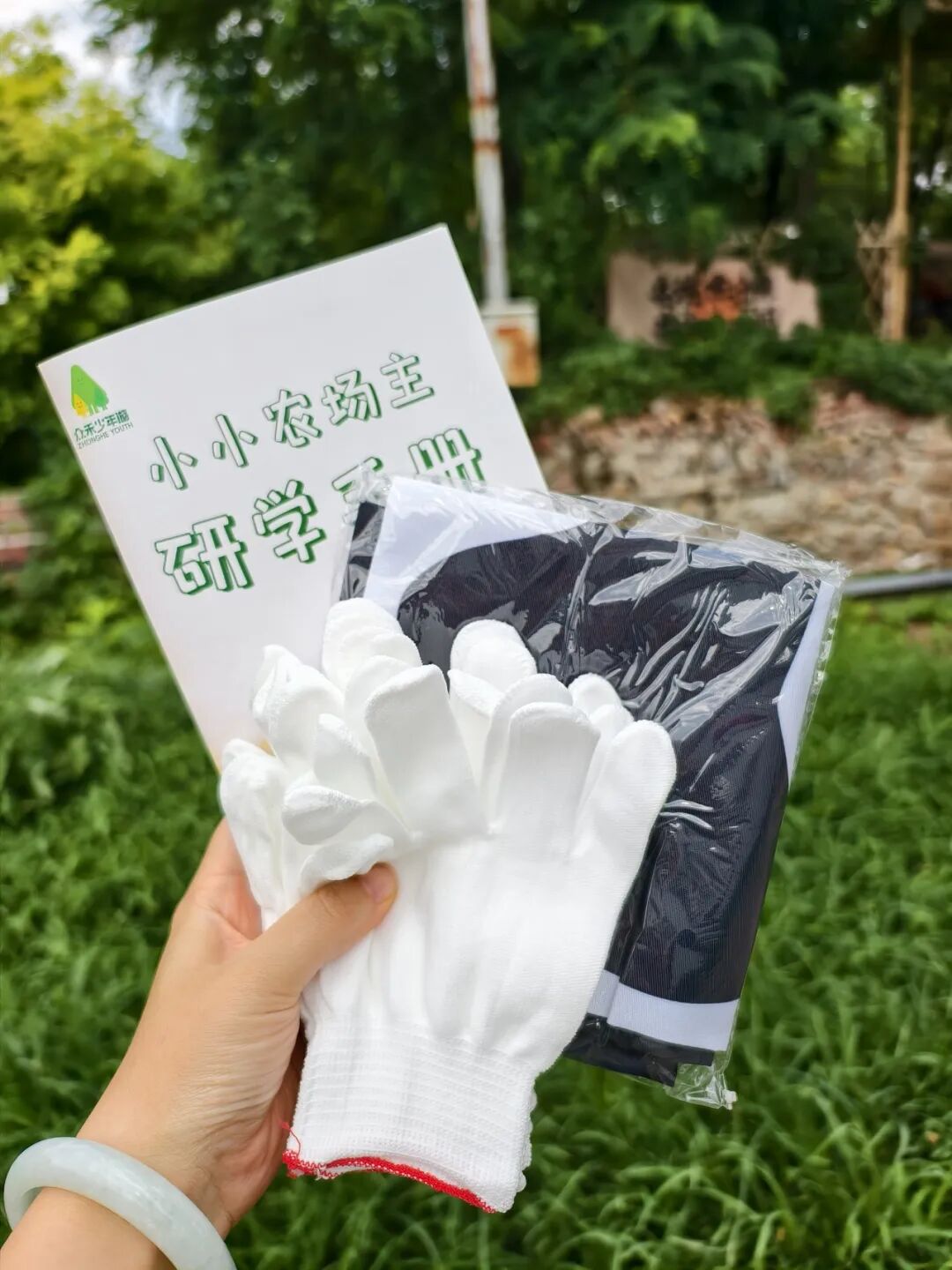 图片