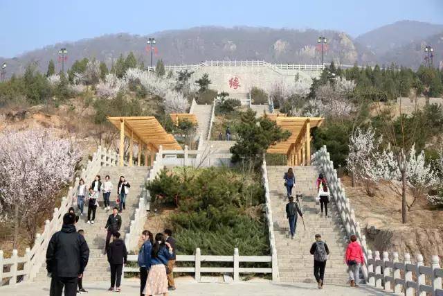 蓟州春,盘山秀,十里春风渡满山,抢先一步去看看!