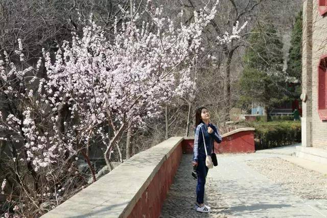 蓟州春,盘山秀,十里春风渡满山,抢先一步去看看!