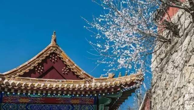 高清组图两万人齐聚盘山,只因这美景错过还要等一年