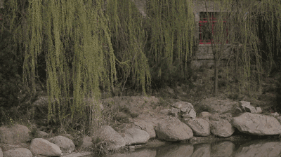 盘山庙会踏青节,山青了,柳绿了,花开了,就等4月1日你来了