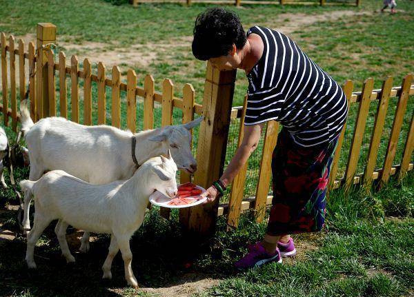 去京郊小瑞士-海坨山谷,赴一场清爽秋日的郊游
