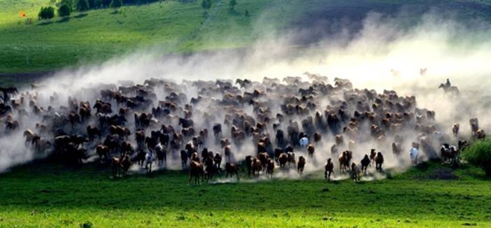 1562643926_LdhMOrAF.jpg 1562643926_LdhMOrAF.jpg