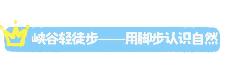 白河峡谷 (2).jpg