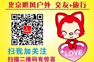 【周末及元旦活动合集】