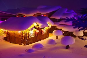 元旦周末3日｜雪乡雾凇岛B｜冰雪大世界-索菲亚大教堂-中央大街-雪乡雪谷の感受林海雪原冬日童话世界