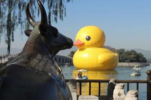 天天发【经典爆款】 八达岭长城+颐和园+鸟巢水立方散团 纯玩一日游