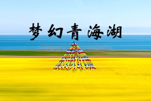 【梦幻青海湖D】西宁-青海湖骑行-茶卡盐湖-冰沟林海徒步-卓尔山-门源花海5日游