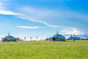 【漠北】库布齐沙漠·辉腾锡勒黄花沟草原·领略草原风情·篝火晚会·特色骆驼宴·4日