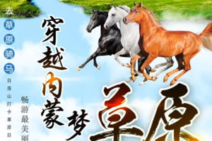 【梦幻草原C线】海拉尔-草原私家牧场-室韦-黑山头骑马穿越-186彩带河滑草-满洲里-呼伦湖-阿尔山7日