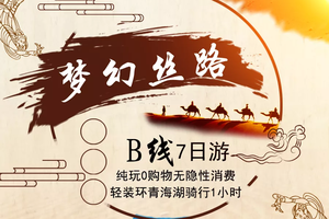 【梦幻丝路B线】西宁-青海湖骑行-茶卡盐湖-沙漠露营烧烤BBQ-敦煌莫高窟-鸣沙山月牙泉-嘉峪关7日