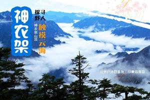 元旦3天｜武当山｜走进金庸笔下的武侠世界武当山の武当一梦绝美夜景-精彩演出