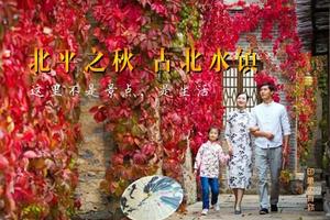 团建一日推荐：北平之秋-红叶小镇-隐藏在北京深处的一处江南