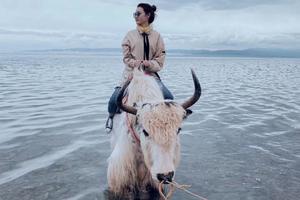 【梦幻无人区】3大荒漠禁区+敦煌沙漠轰趴+青海湖骑行+可可西里+青海马尔代夫+火星公路+俄博梁雅丹