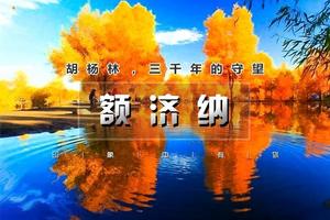 额济纳胡杨林【秋漾额济纳6日天天发】乌鞘岭 天梯山石窟 巴丹吉林沙漠 黑水城 吉兰泰盐湖（2-8人小团）