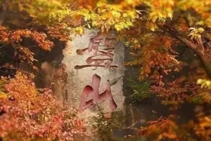 周末1日盘山【特惠门票】红叶古寺完美结合｜津门十景-红叶秋韵-国家5A景区（超值体验）