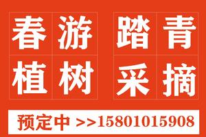 徒步团建1日方案：春游1日十三陵徒步  户外踏青1日团建