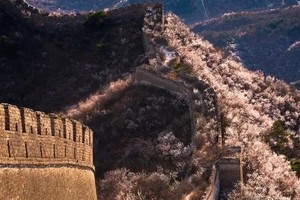 周末1日｜鹞子峪桃花｜春花·水·长城の鹞子峪-撞道口长城环线10公里<初级> 