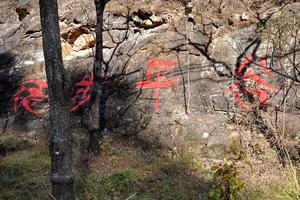 徒步1日团建方案：平谷徒步大道 12/24公里可选