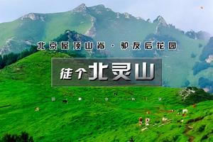 周末1日｜北灵C柏峪｜北京驴友后花园-古道明珠黄草梁の屋顶山脊-高山草甸17公里徒步<中级>