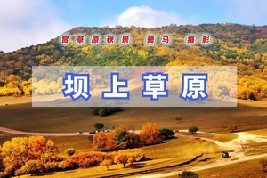 中秋/国庆2日【坝上草原A】金秋坝上草原风光-烤全羊、草原摄影、骑马、篝火晚会、卡拉OK一网打尽