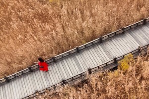 周末1日｜野鸭湖｜网红打卡拍出芦苇漫天の北京城郊藏着的大西北-永宁古城-柳沟豆腐宴