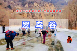 周末1日｜翠鸟谷踏冰｜冰河探索の探访冰玻璃下的仙踪秘境-8公里穿越