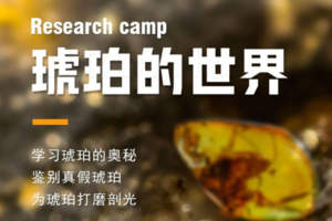 春生万物季｜3.14/15/21/22敲鼓唤醒土地、手作雷器模拟惊蛰、挂果壳召燕子、揉青团-三个节气四件带得走的春天