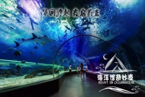 夜宿海底世界【海底小纵队】11.1/1.1海洋馆奇妙夜·鱼我共眠（多期-仅限单飞）