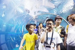 走读营【海洋馆天赋讲解员3日单飞】7.27-29/8.3-5/8.17-19讲解员太平洋海底世界，邂逅神奇的海洋生物