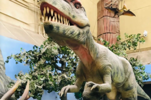 志愿北京2h【自然博物馆】11.1/2/元旦1.1/2在科学的海洋里 地球的霸主和人类的朋友