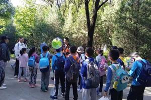 志愿北京2小时【百望山-北京观猛禽首选地】迁徙的鸟 秋季春季限定版