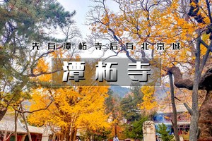 周末1日｜潭柘寺｜千年古银杏の千年古刹-佛塔林立-古树参天-北宫国家森林公园赏秋（双集合点）