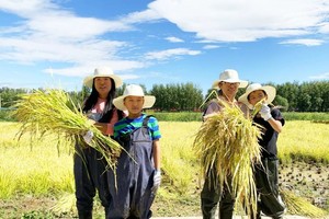 昌平亲子【公益时长4H】11.15/16/22/23砍蔗汁挖红薯+秋收课堂+食育课堂
